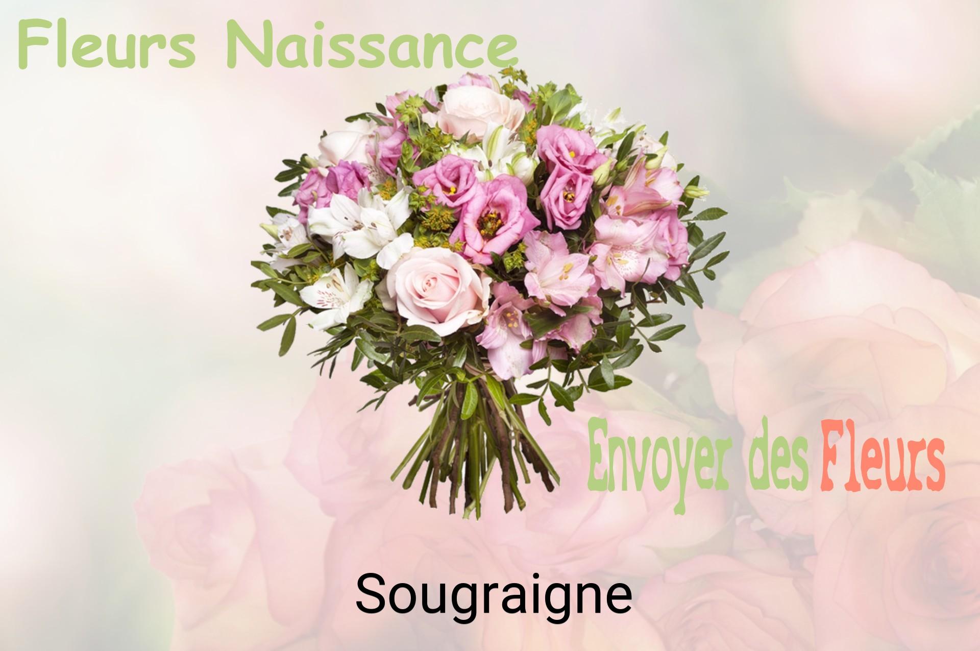 Bouquet de fleurs de naissance livré à Sougraigne